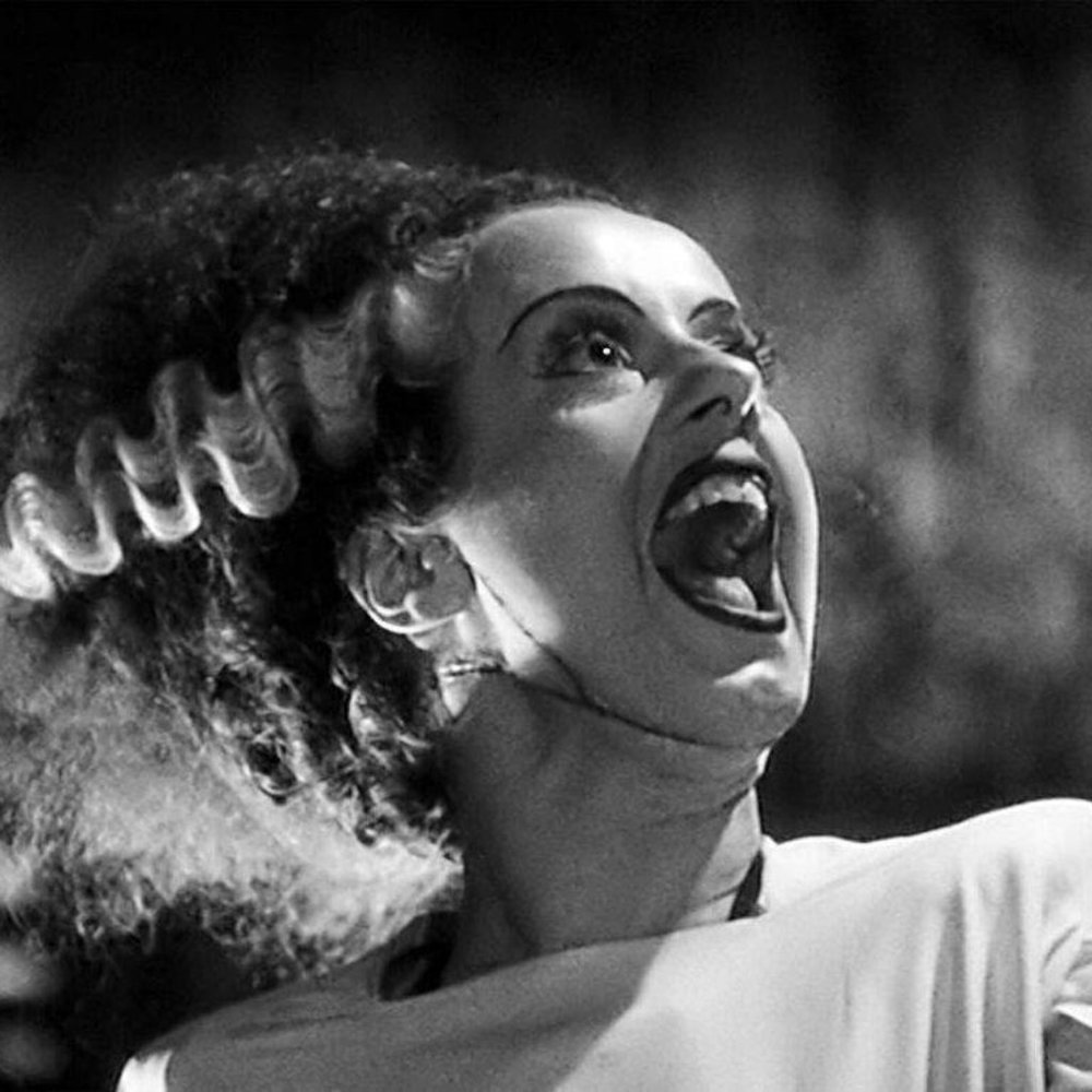 Meet your Posher, Cypress